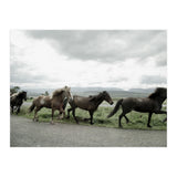 Running horses - Iceland (Print Only) thumbnail