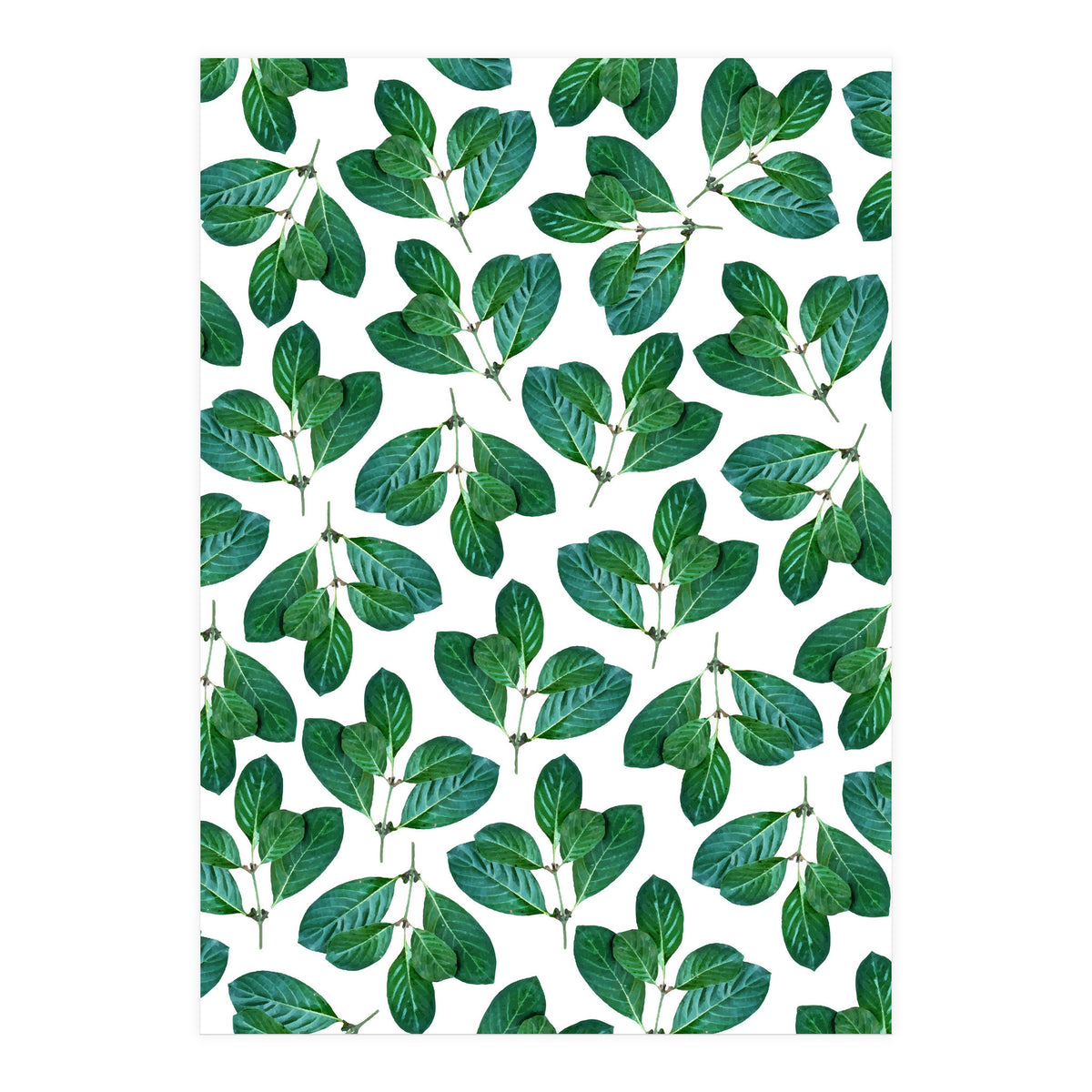 Lemon Leaf (Print Only)