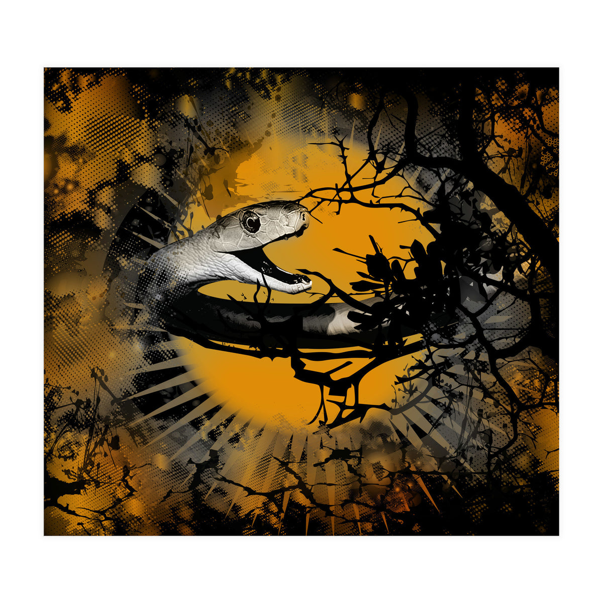 Black Mamba  (Print Only)