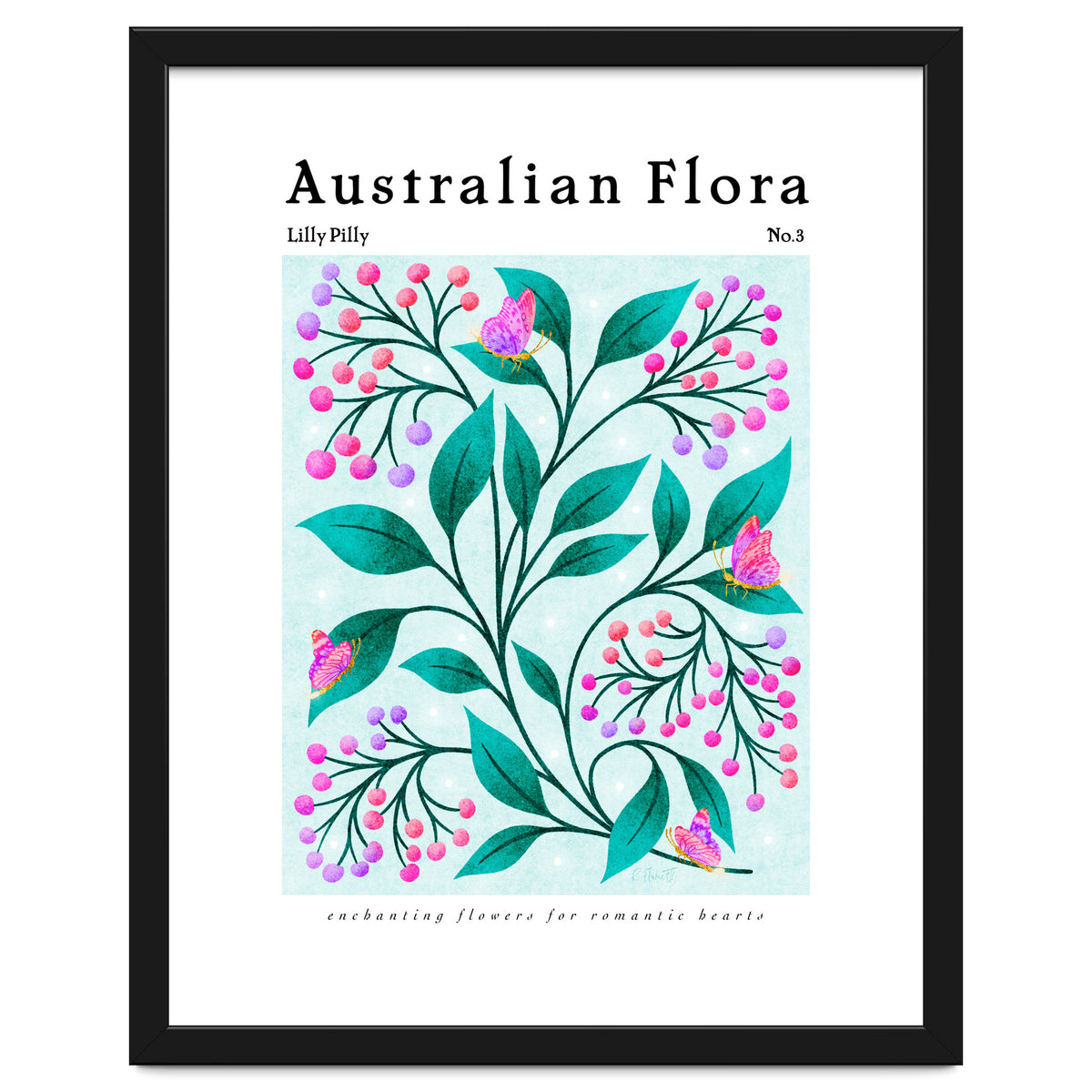Australian Flora: Lilly Pilly
