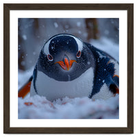 Close Up Gentoo Penguin In Snowy Landscape