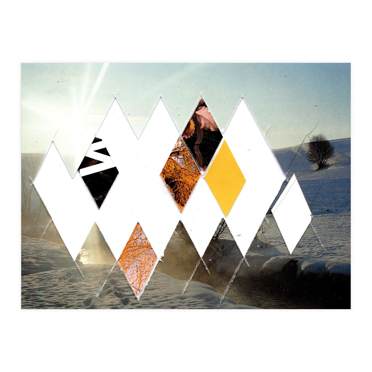 Fragmented · Botschaft Der Pappen??? · Winterimpressionlooklike (Print Only)