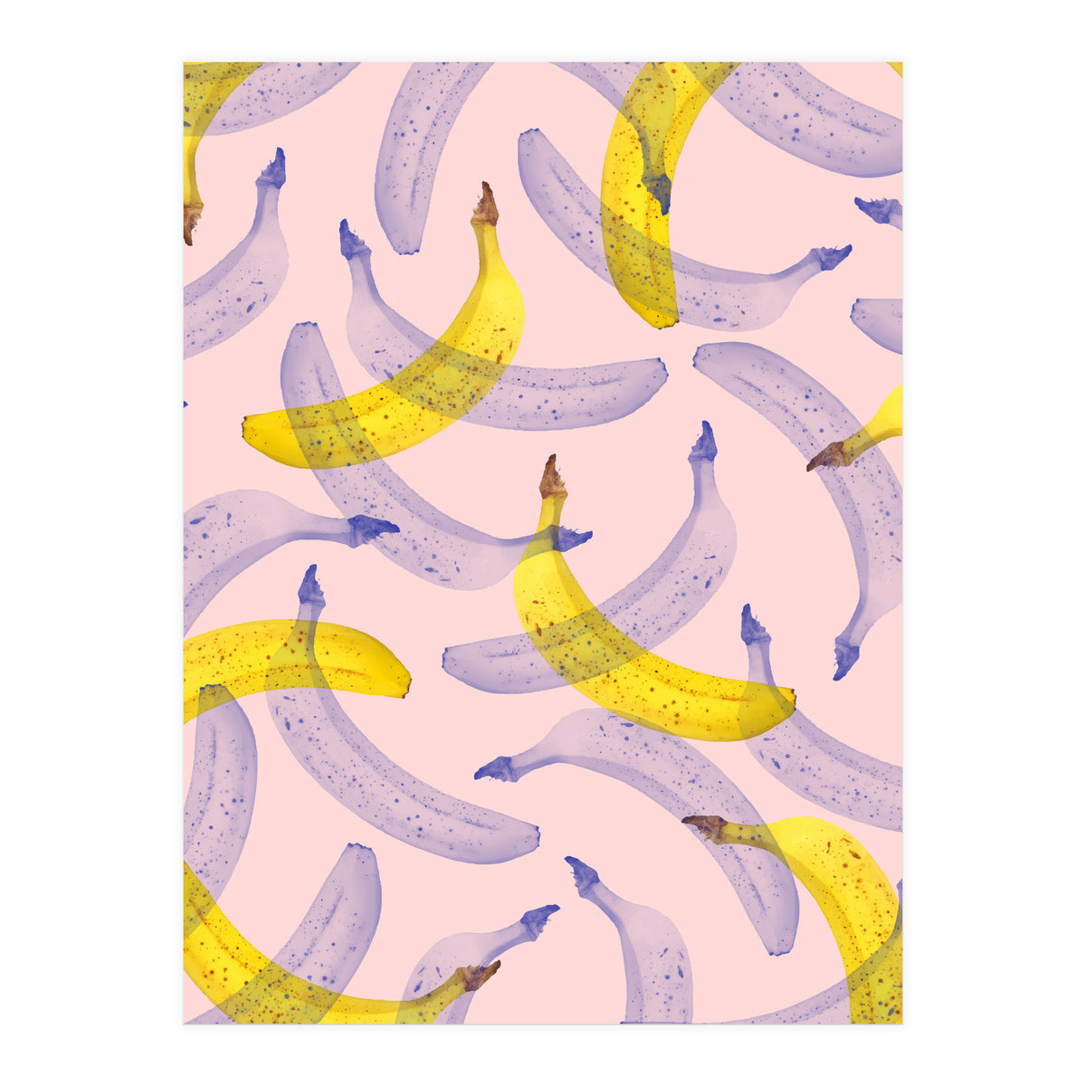 Banana Under Scrutiny (Print Only)
