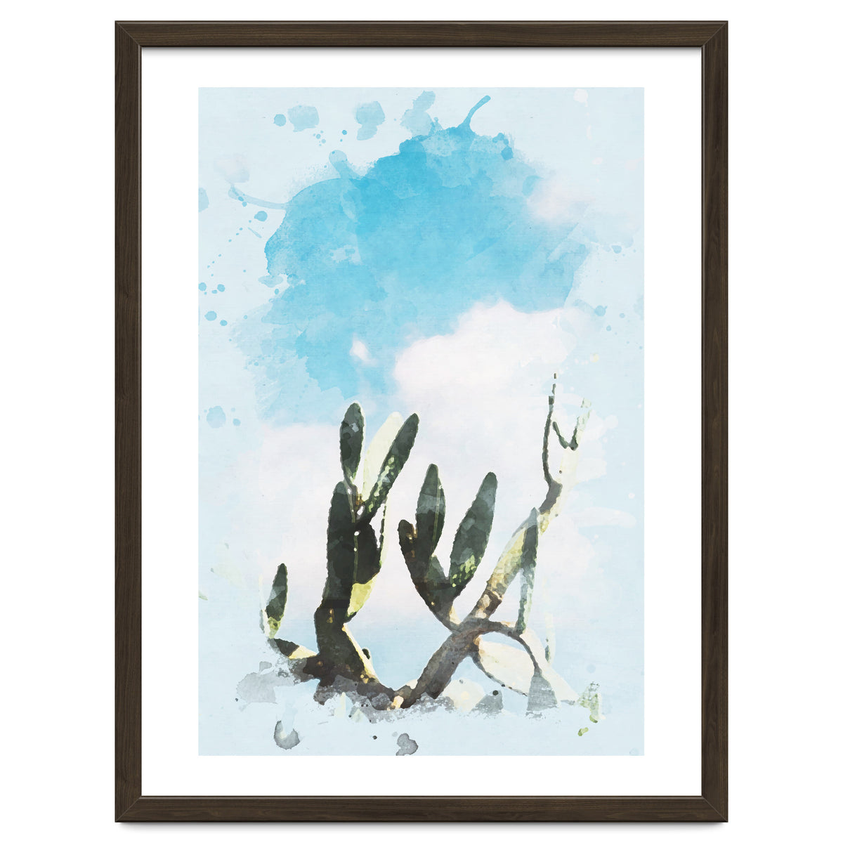 Cactus & Sky