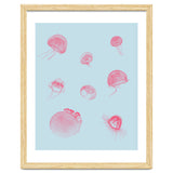 Jellyfish thumbnail