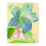 A Peaceful World (Print Only) thumbnail