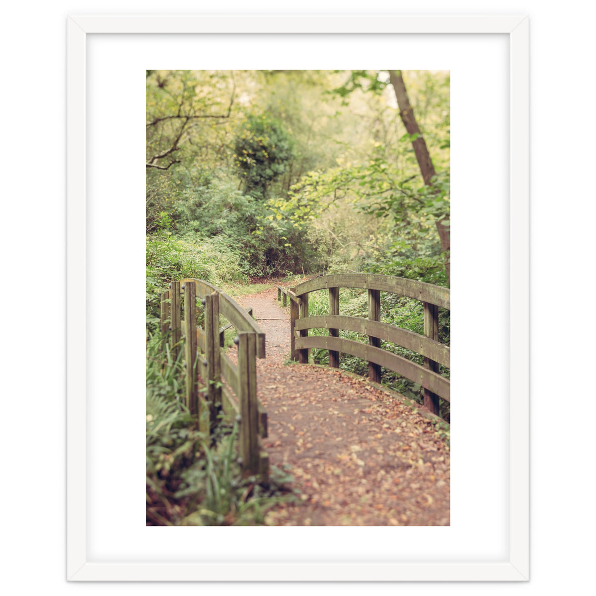 Path To The Bridge