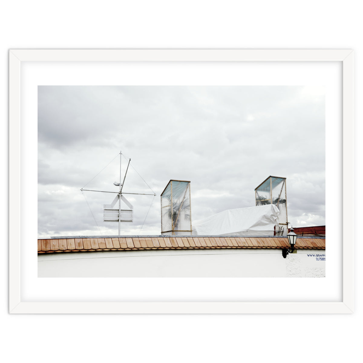 Palm tree waiting for summer