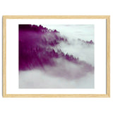 Forest Fog thumbnail