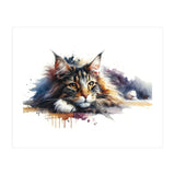Maine Coon Resting Portrait (Print Only) thumbnail