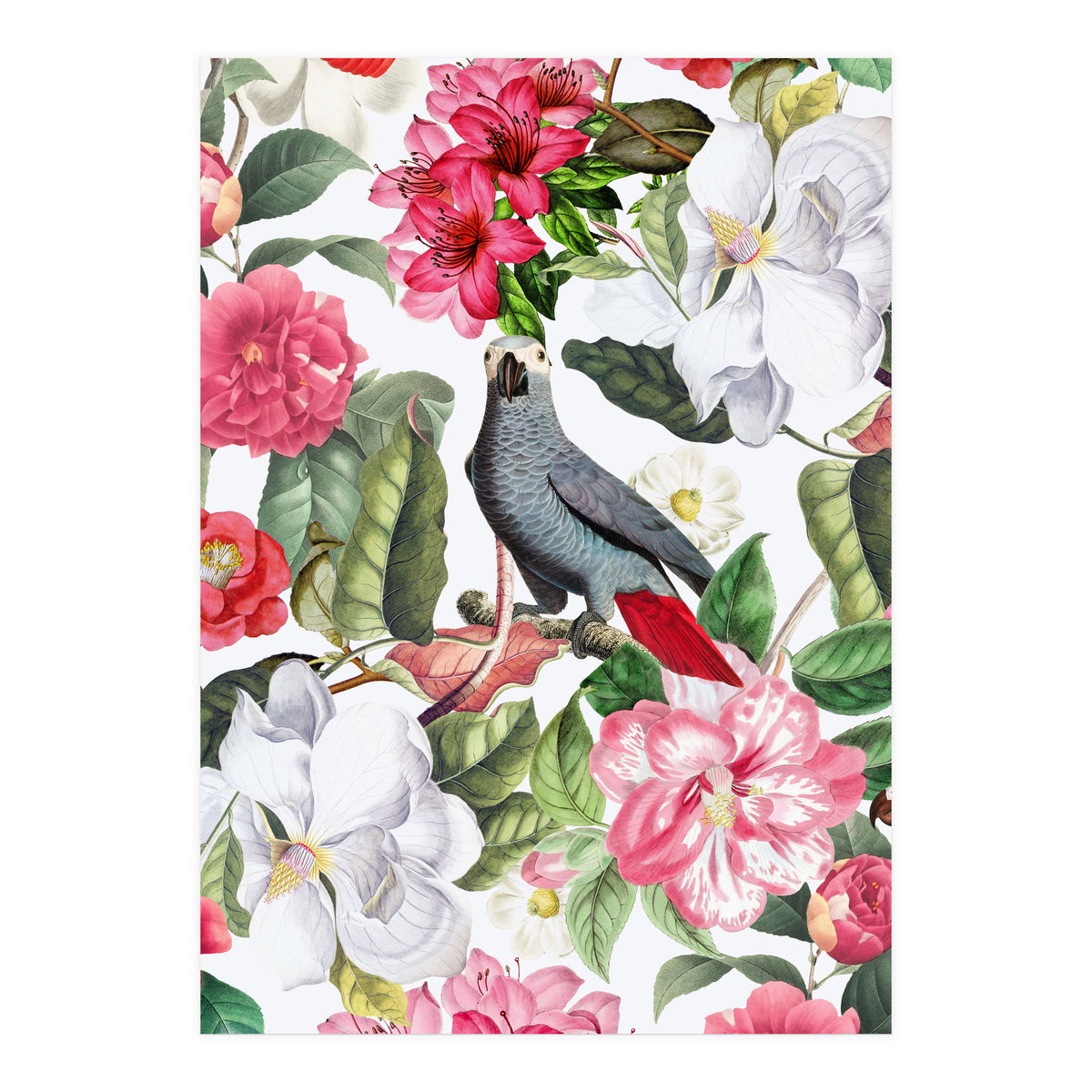 Vintage Cockatoo in Flower Jungle (Print Only)