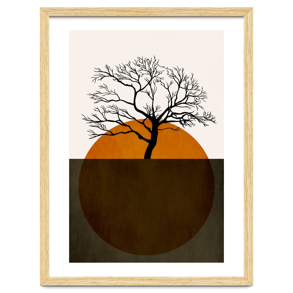 Sunny Days Of Silence