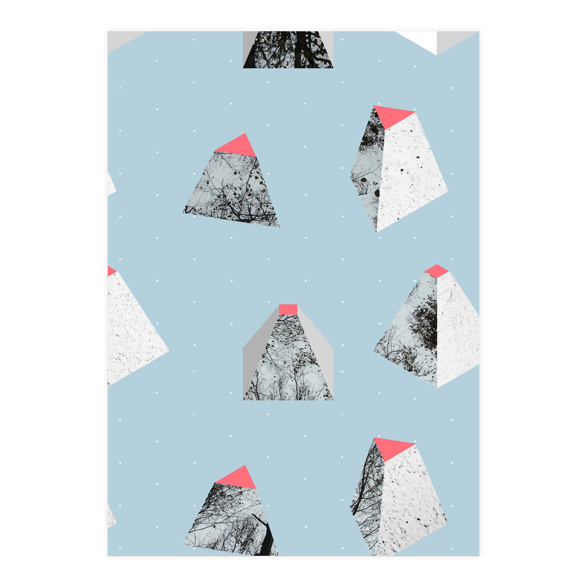 Because I Can (Print Only)