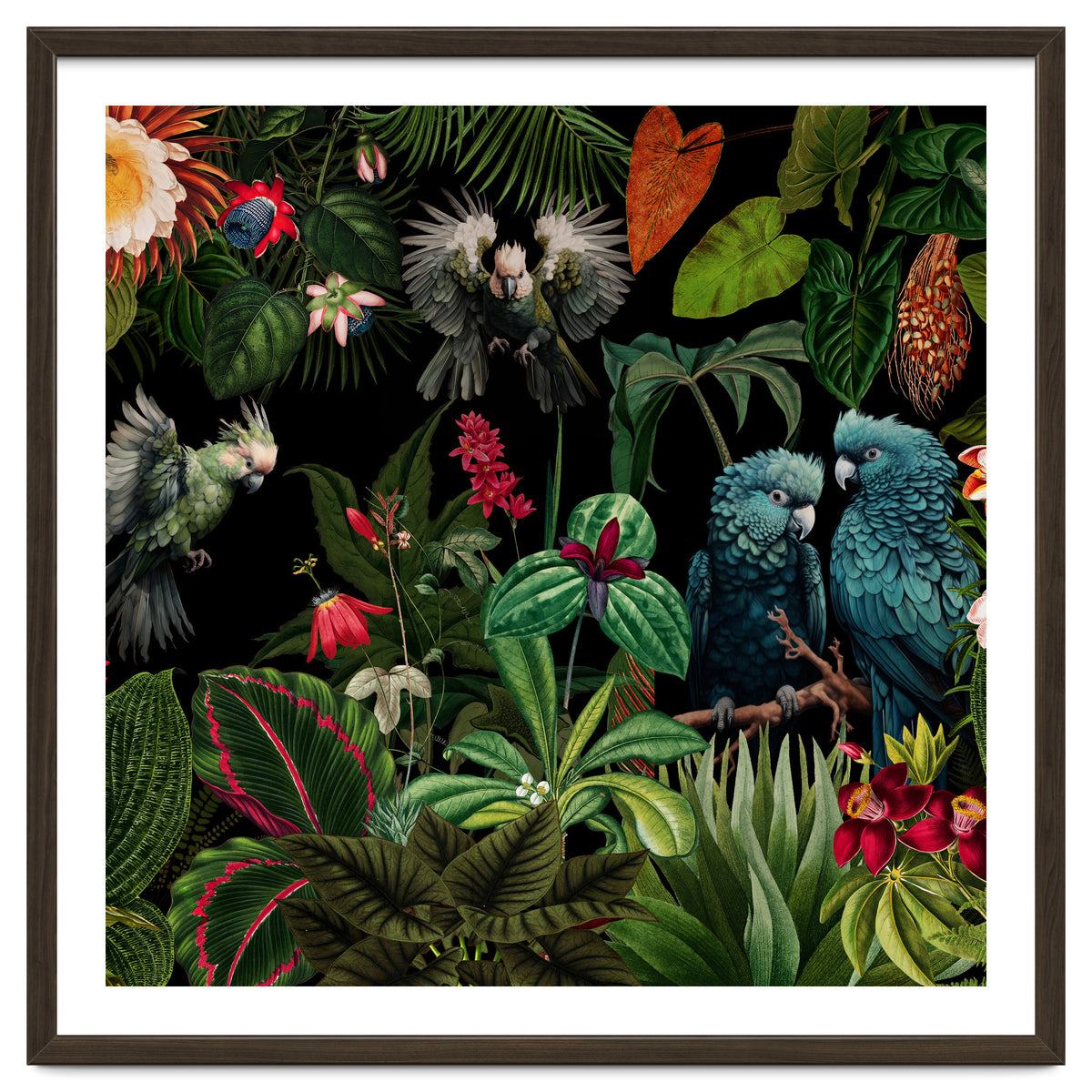 Moody Botanical Midnight Jungle Birds