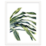 Green Palm Leaves thumbnail