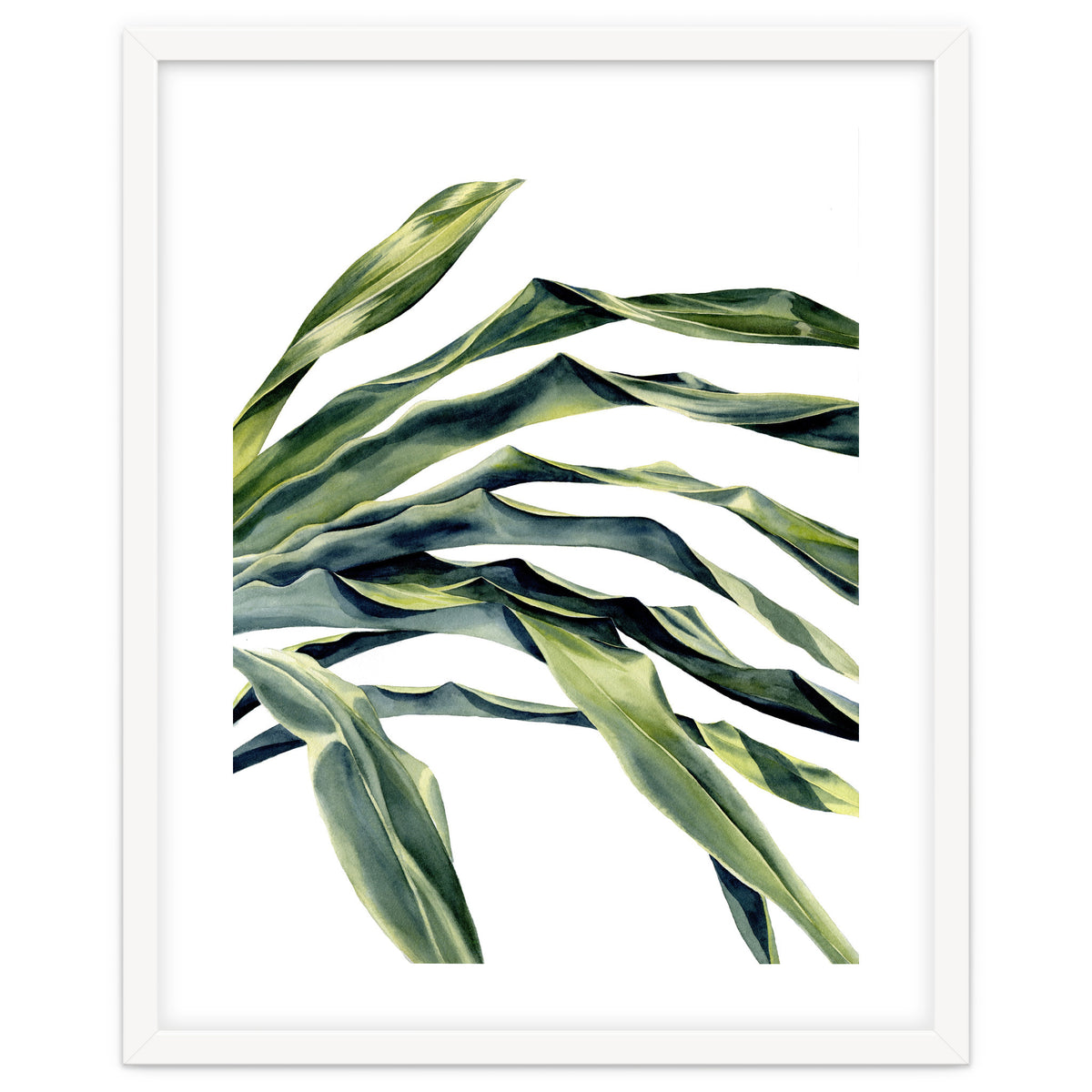 Green Palm Leaves