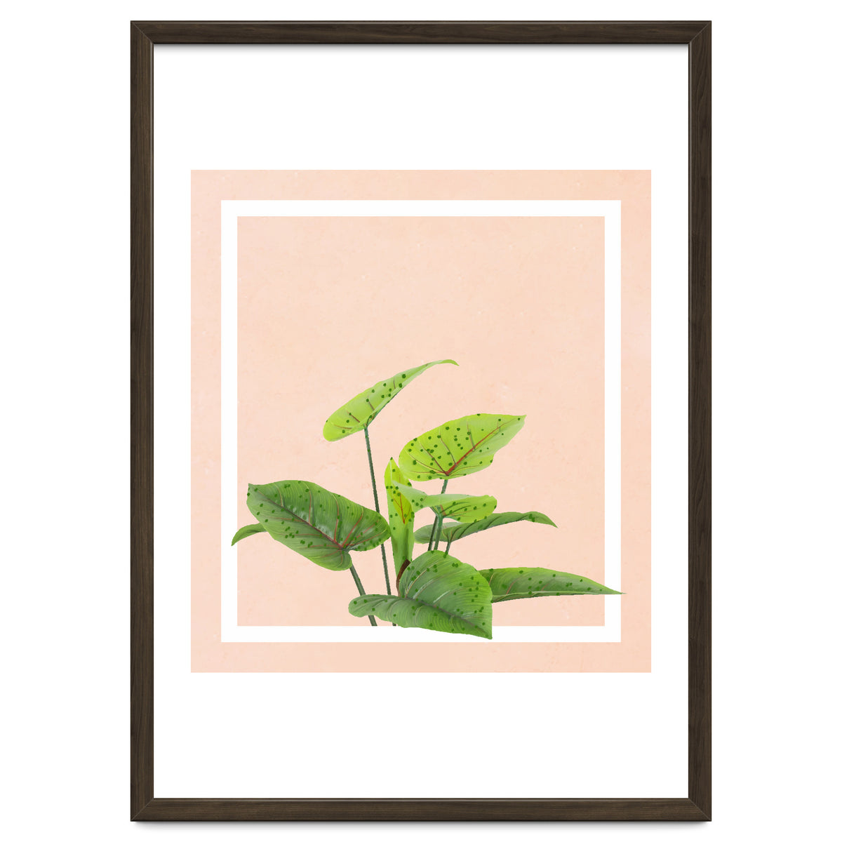 Botanical Art