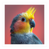 Cockatiel Parrot Head Close Up Portrait (Print Only) thumbnail