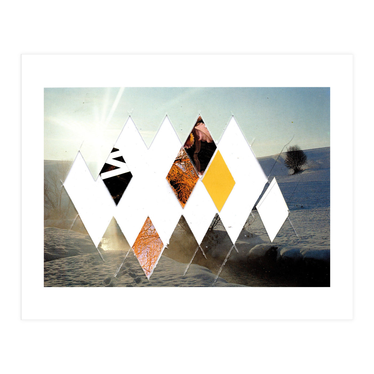 Fragmented · Botschaft Der Pappen??? · Winterimpressionlooklike (Print Only)