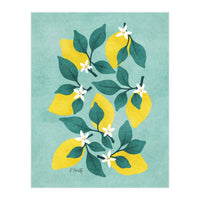 Lemon Blossom (Print Only)