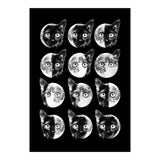 Cat Moon Phases (Print Only) thumbnail