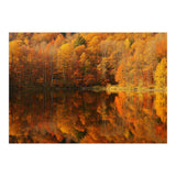 Autumn Reflections (Print Only) thumbnail
