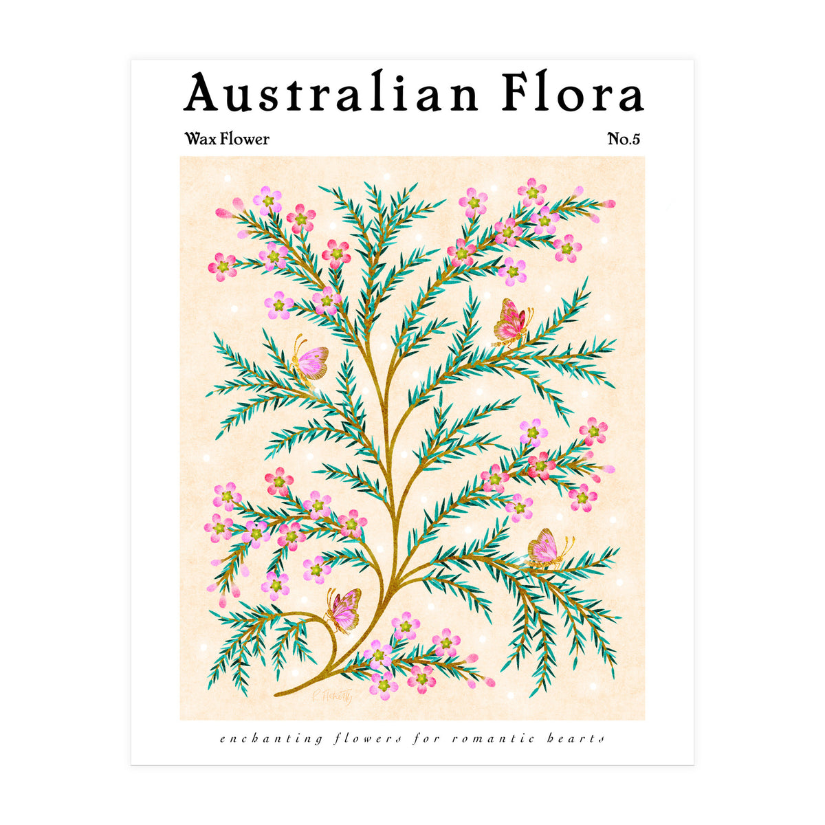Australian Flora: Wax Flower (Print Only)