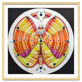 Clock butterfly thumbnail