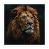 Majestic Lion Portrait In Gentle Rain (Print Only) thumbnail
