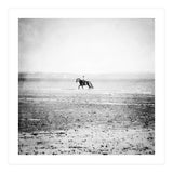 Sea Horse (Print Only) thumbnail