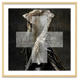 Grey Cross Wraith thumbnail