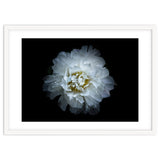 Backyard Flowers No 90 Color Version thumbnail