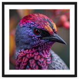 Vibrant Exotic Bird Detailed Feather Close Up thumbnail