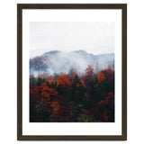 Fog thumbnail