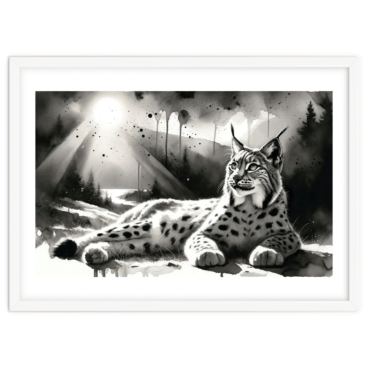 Lynx Resting In Sunlight
