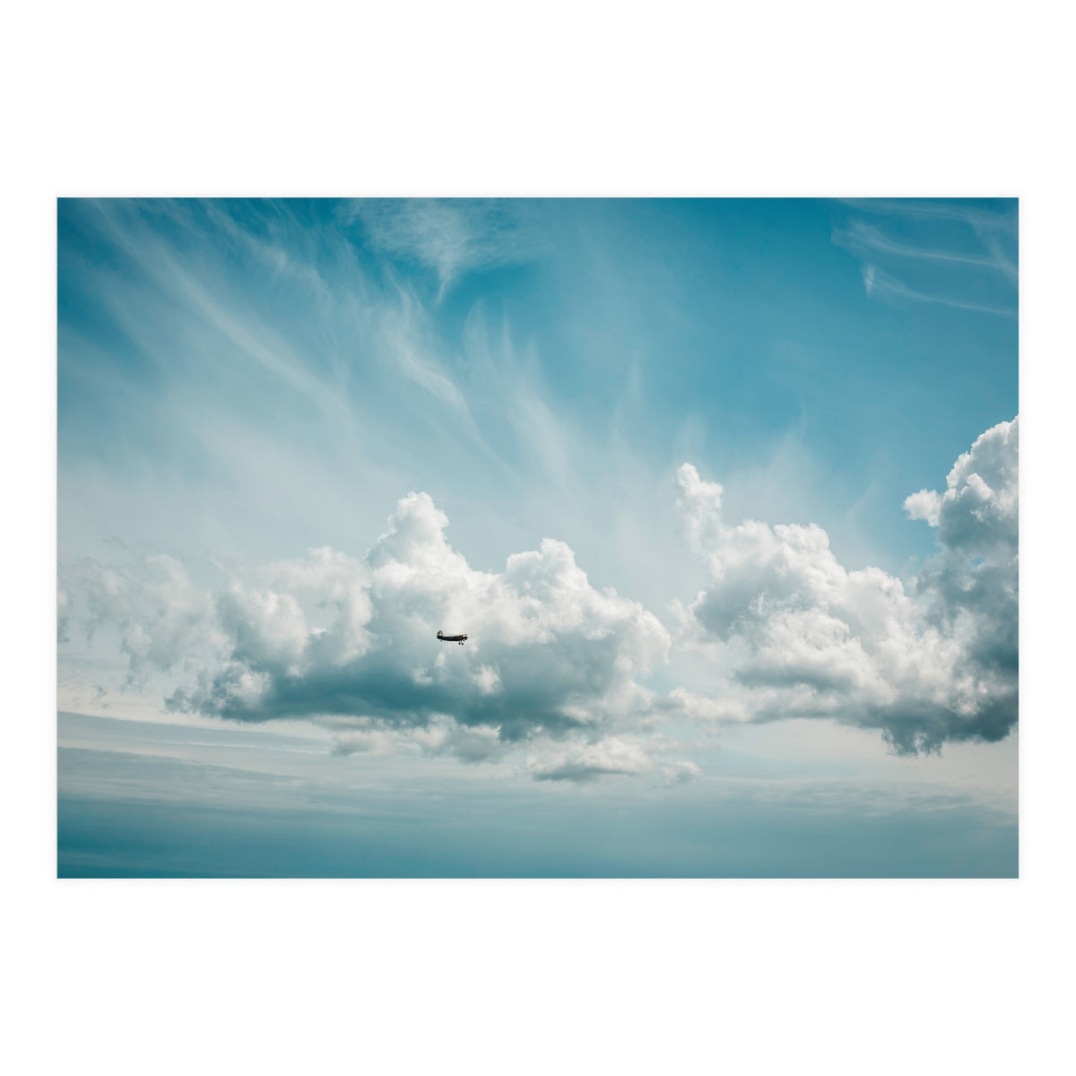 Airborne (Print Only)