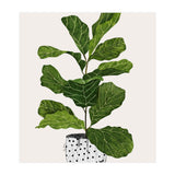 Fiddle Leaf Fig Tree Plant (Print Only) thumbnail