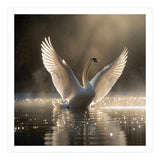 Graceful Swan Spreading Wings On Sparkling Water (Print Only) thumbnail