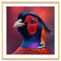 Close Up Pheasant Bird Head Detailed Feathers