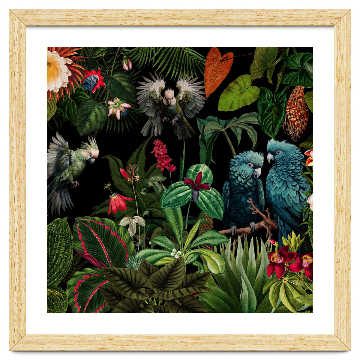Moody Botanical Midnight Jungle Birds