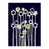 expectant iteration winter sun flowers (Print Only) thumbnail