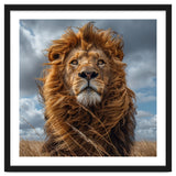 Majestic Lion Portrait Windblown Mane Outdoors thumbnail