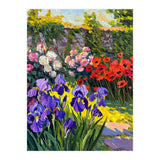 Sun-Drenched Secret Garden Oil Painting (Print Only) thumbnail