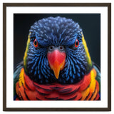 Close Up Of A Colorful Rainbow Lorikeet Bird thumbnail