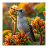 Hummingbird Perched On Orange Flowers (Print Only) thumbnail