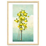Lemon Tree thumbnail