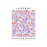 Carnations And Snowdrop January Birth Flower Floral Print (Print Only) thumbnail