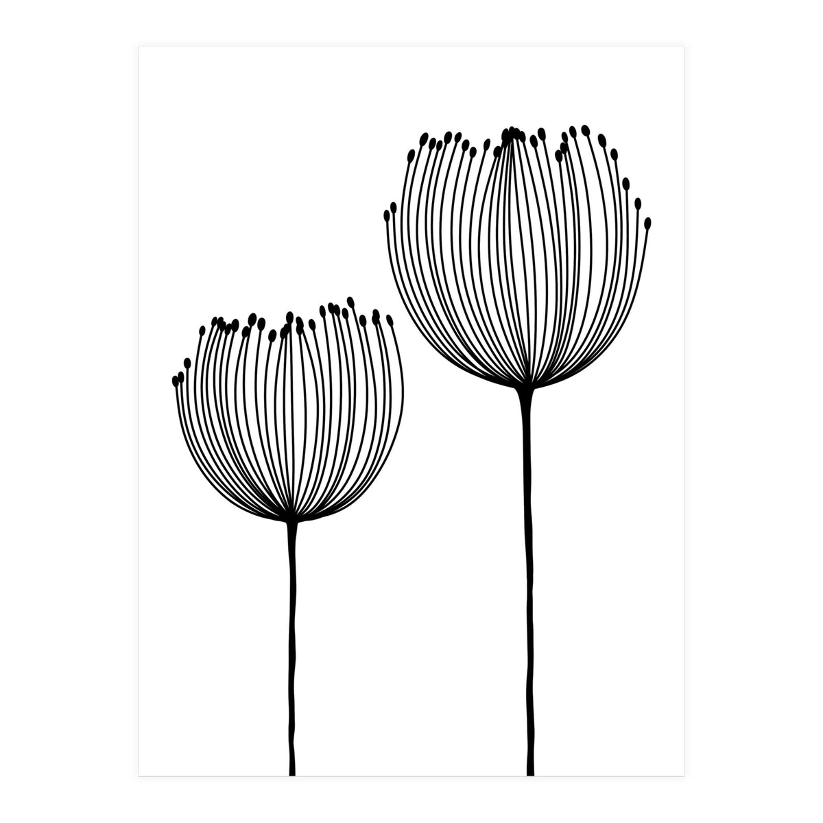 Two wildflowers (Print Only)