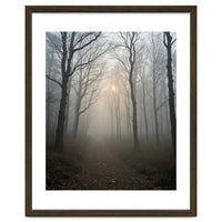 Ethereal Morning Light Breaking Through Dense Forest Fog