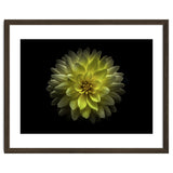 Backyard Flowers No 128 Color Version thumbnail